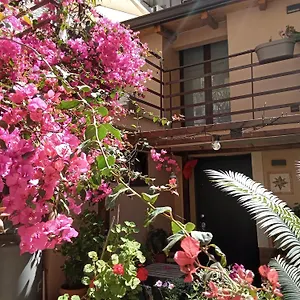  Gasthuis Mizzicahome Solemare